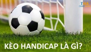 Kèo handicap là gì