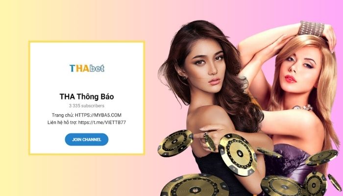 Liên hệ nhà cái thông qua hỗ trợ Thabet tại Telegram